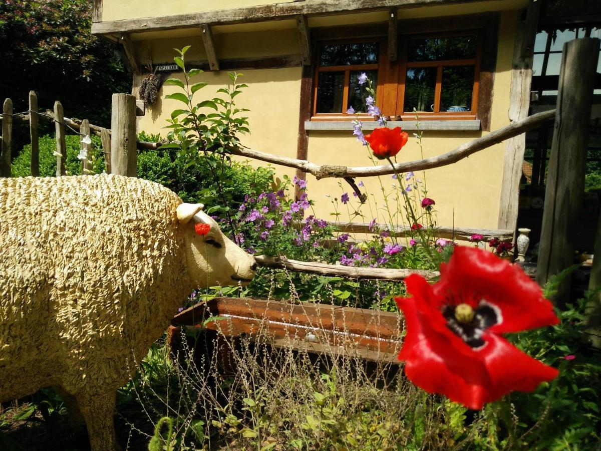B&B Tspijker Mol Εξωτερικό φωτογραφία